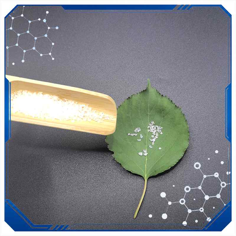 Biodegradable Super Absorbent Polymer