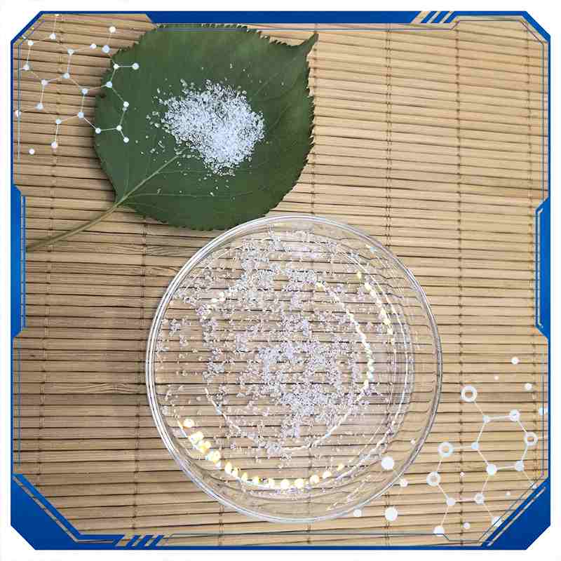 SAP Absorbent Polymer