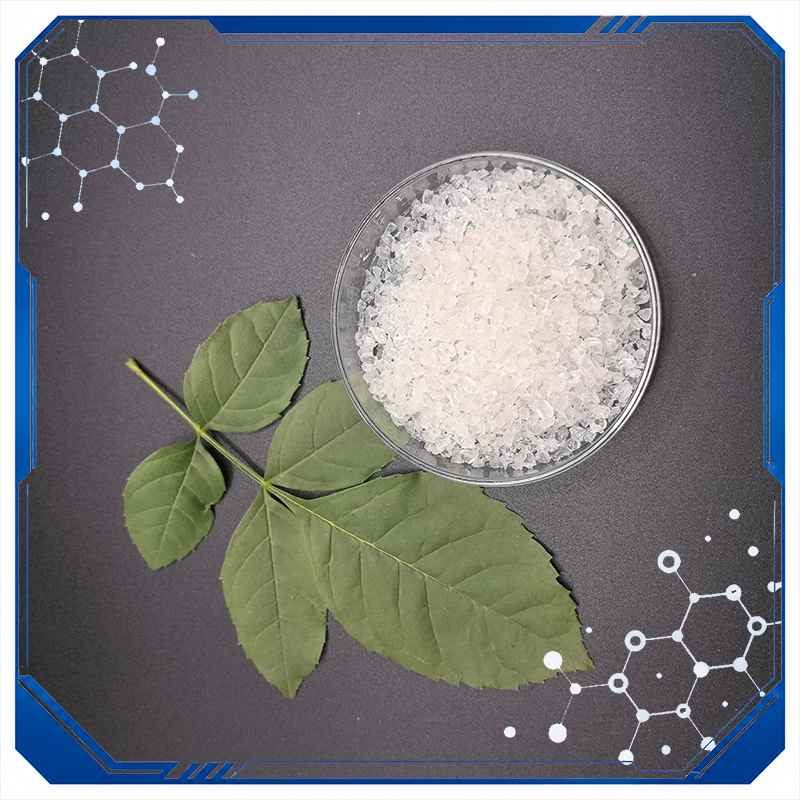 SAP Polymer