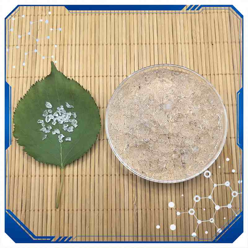 Super Absorbent Polymer For Plants
