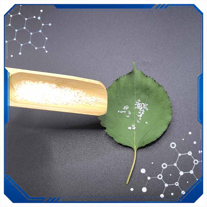 Super Absorbent Polymer SAP